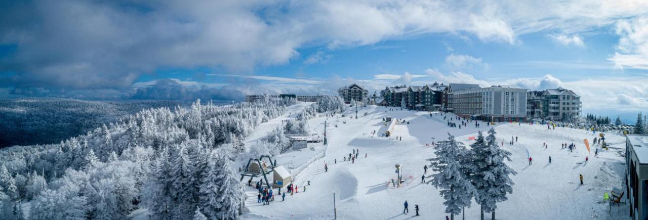 Seneca 202 Apartment Snowshoe Exterior photo